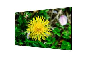  Фото видеостена 3x2 hikvision 55" ds-d2055he-g - фото 3
