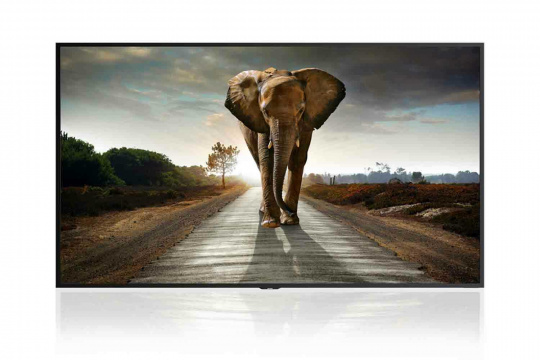 Изображение Информационный дисплей SHARP 120" 8MB120C