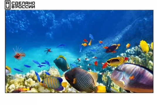 Изображение Панель для видеостен EliteBoard 55" BE-55C5