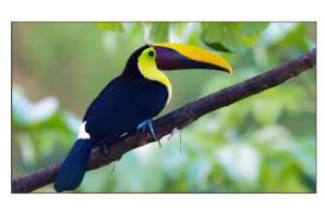  Фото видеостена 3x2 exell 55" expd-wa55ab15 - фото 3